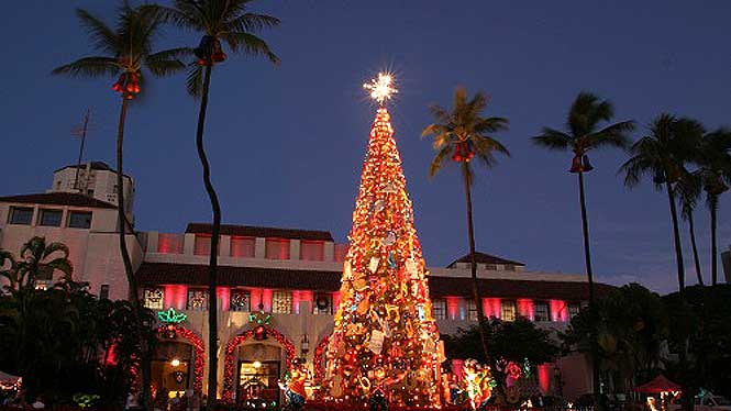 Honolulu City Lights