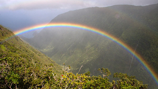 rainbow over Waikolu valley