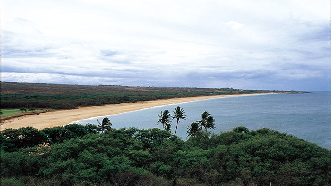 http://www.aloha-hawaii.com/wp-content/uploads/2009/11/beach.jpg