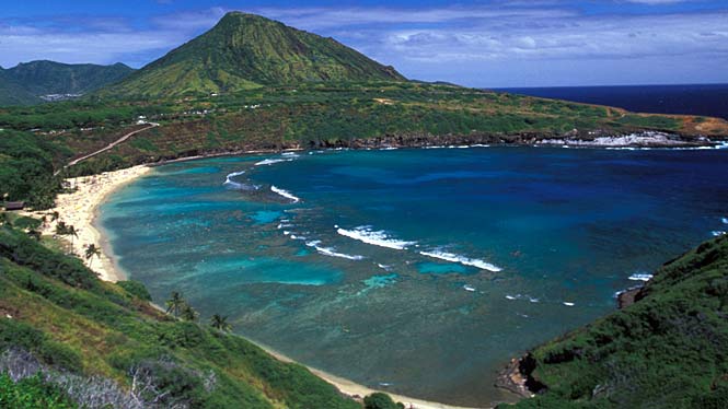 http://www.aloha-hawaii.com/wp-content/uploads/2009/11/hanauma1.jpg
