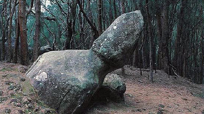 Rock at Palaau state park
