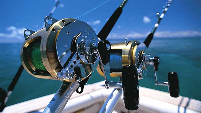 Rod and Reel