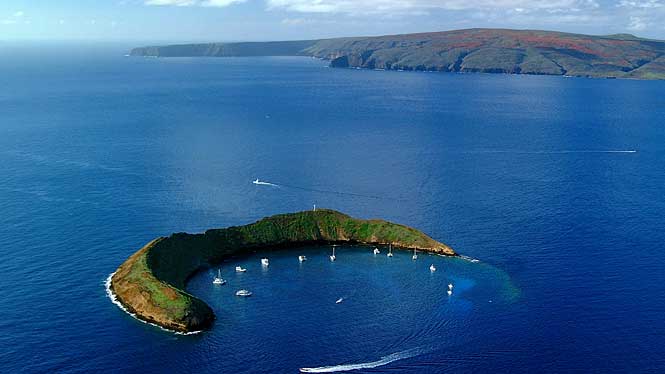 Snorkeling Molokini
