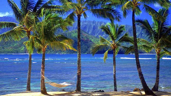 About Hawaii