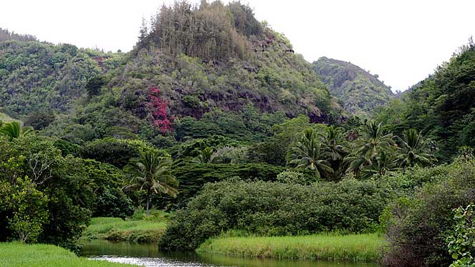 Waimea Valley