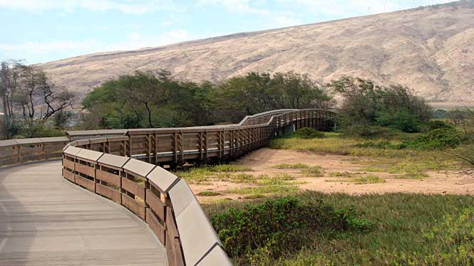 Kealia Pond National Wildlife Reserve