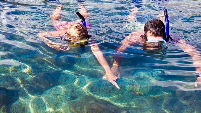 Couple enjoying Hawaii snorkeling. Lady sees something and points.