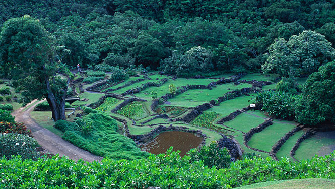 Limahuli Garden in Haena on the Kauai North Shore